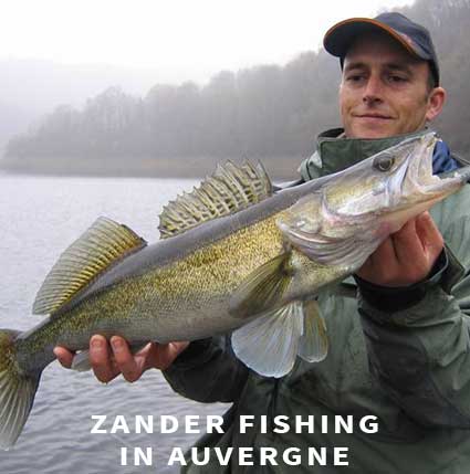 Zander fishing in Auvergne